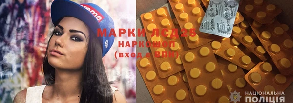 прущие грибы Богородск