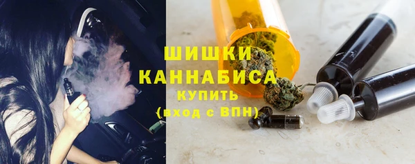 стафф Богданович