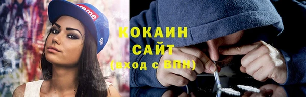 стафф Богданович
