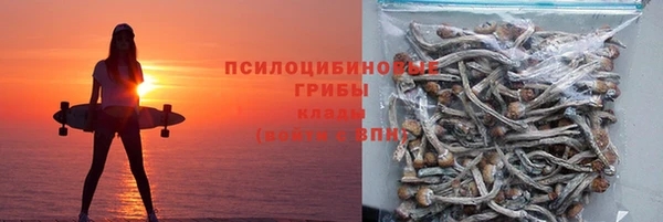 прущие грибы Богородск