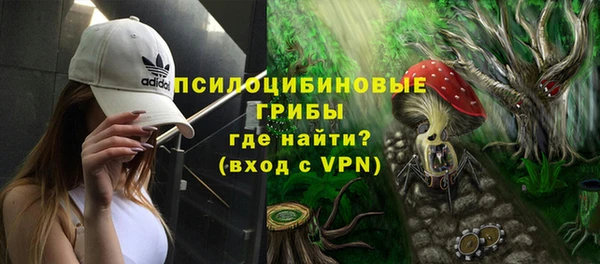 бутират Богородицк