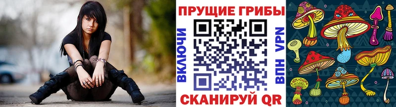 Купить закладки Сысерть Галлюциногенные грибы мухоморы